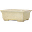 Vaso bonsai rettangolare beige craquelé di Terahata Satomi Mazan - 164 x 138 x 63 mm