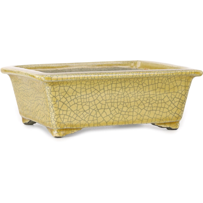 Rechteckige gelbe Craquelé-Bonsaischale von Mazan – 203 x 173 x 70 mm