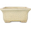 Maceta rectangular para bonsái craquelé beige de Terahata Satomi Mazan - 164 x 138 x 63 mm