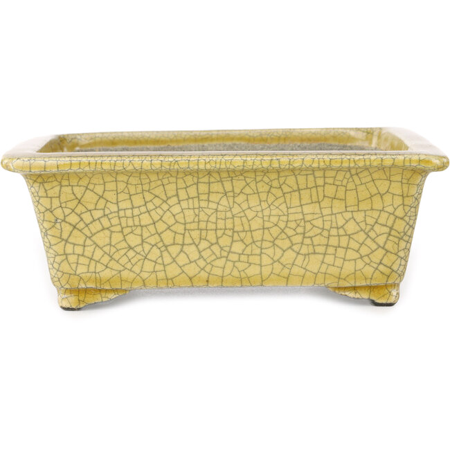 Rechteckige gelbe Craquelé-Bonsaischale von Mazan – 203 x 173 x 70 mm