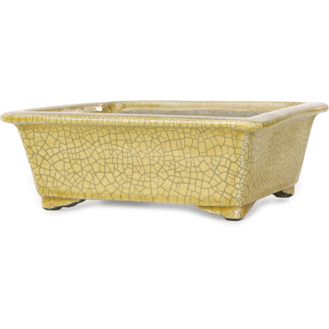 Pot à bonsaï rectangulaire jaune craquelé par Mazan - 203 x 173 x 70 mm