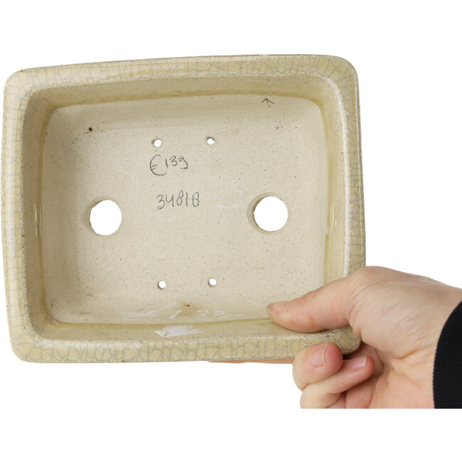 Maceta rectangular para bonsái craquelé beige de Terahata Satomi Mazan - 164 x 138 x 63 mm
