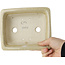 Pot à bonsaï rectangulaire beige craquelé par Terahata Satomi Mazan - 164 x 138 x 63 mm