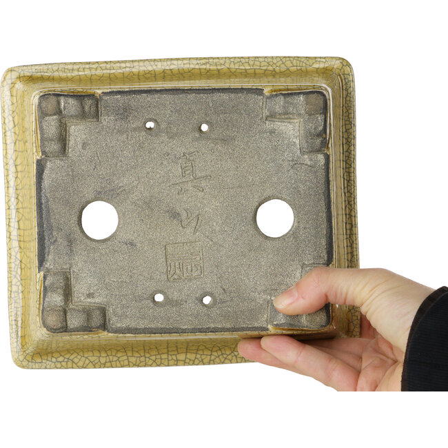 Rechthoekige gele craquelé bonsaipot van Mazan - 203 x 173 x 70 mm