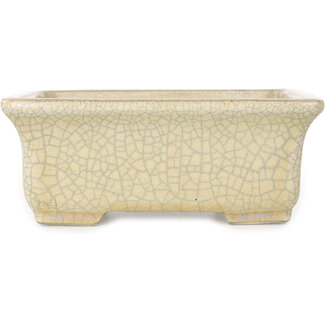  Satomi Mazan, Mazan Terahata Pot à bonsaï rectangulaire beige craquelé 164 mm par Terahata Satomi Mazan, Tokoname, Japon