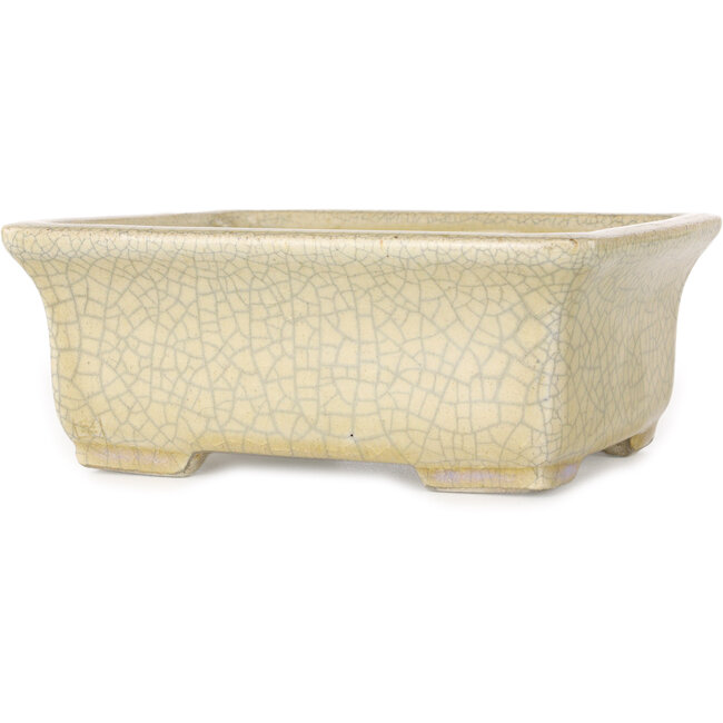 Rechteckige beige Craquelé-Bonsaischale von Terahata Satomi Mazan – 164 x 138 x 63 mm