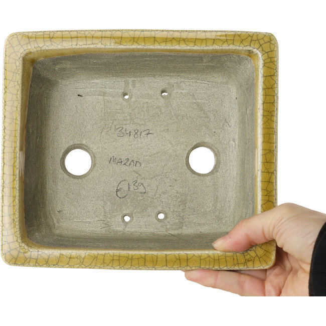 Vaso bonsai rettangolare giallo craquelé di Mazan - 203 x 173 x 70 mm