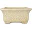 Rectangular beige craquelé bonsai pot by Terahata Satomi Mazan - 164 x 138 x 63 mm