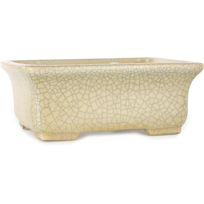 Rechteckige beige Craquelé-Bonsaischale von Terahata Satomi Mazan – 164 x 138 x 63 mm