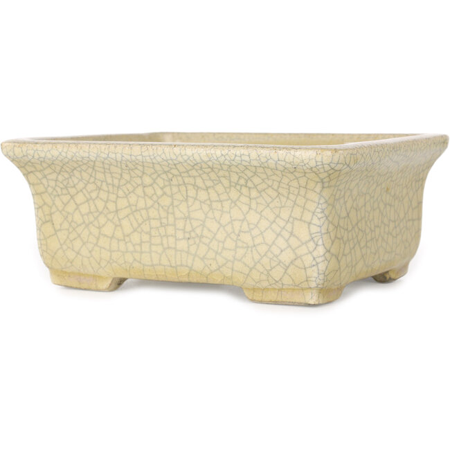 Rechteckige beige Craquelé-Bonsaischale von Terahata Satomi Mazan – 164 x 138 x 63 mm