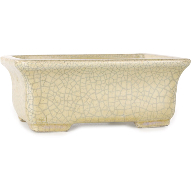 Maceta rectangular para bonsái craquelé beige de Terahata Satomi Mazan - 164 x 138 x 63 mm