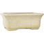 Rechteckige beige Craquelé-Bonsaischale von Terahata Satomi Mazan – 164 x 138 x 63 mm