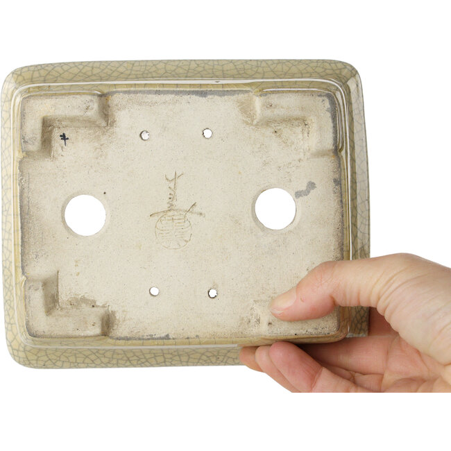 Rectangular beige craquelé bonsai pot by Terahata Satomi Mazan - 164 x 138 x 63 mm