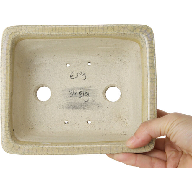 Maceta rectangular para bonsái craquelé beige de Terahata Satomi Mazan - 164 x 138 x 63 mm