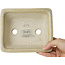 Rechthoekige beige craquelé bonsaipot van Terahata Satomi Mazan - 164 x 138 x 63 mm