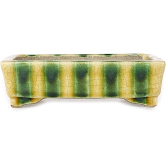  Satomi Mazan, Mazan Terahata 150 mm rectangular yellow and green bonsai pot by Terahata Satomi Mazan, Tokoname, Japan