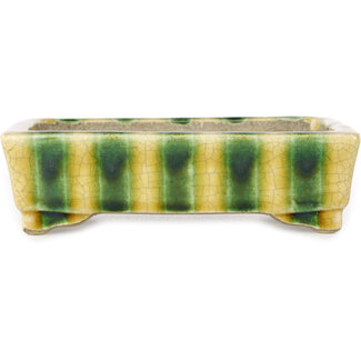  Satomi Mazan, Mazan Terahata Maceta rectangular para bonsái amarilla y verde de 150 mm de Terahata Satomi Mazan, Tokoname, Japón