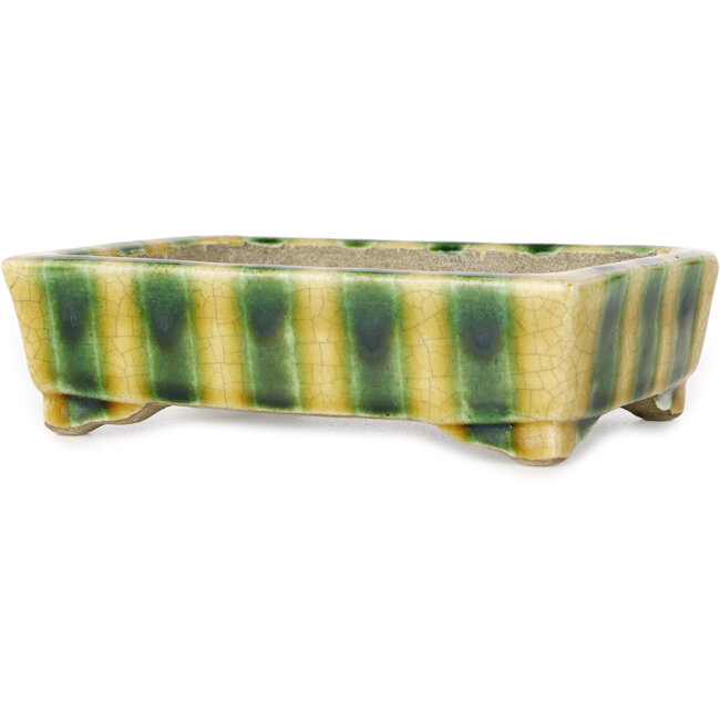 Maceta rectangular para bonsái amarilla y verde de Terahata Satomi Mazan - 150 x 108 x 43 mm