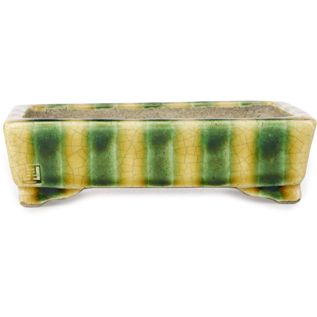 Maceta rectangular para bonsái amarilla y verde de Terahata Satomi Mazan - 150 x 108 x 43 mm