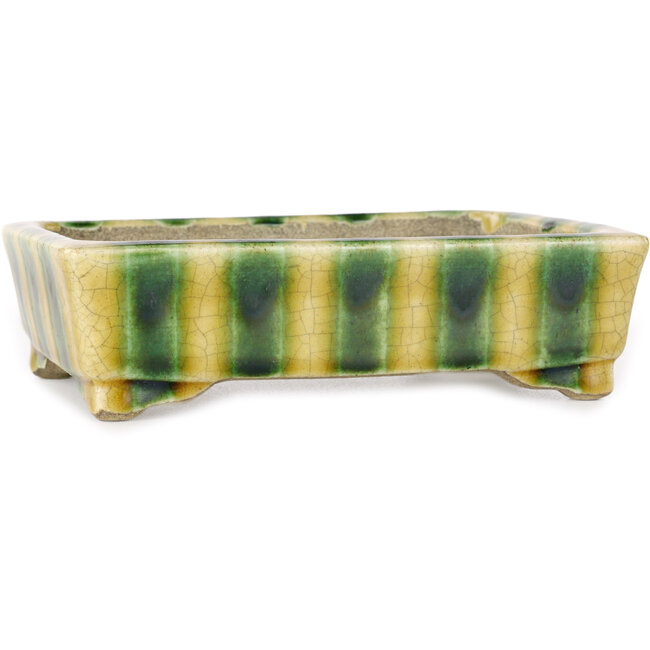 Pot à bonsaï rectangulaire jaune et vert par Terahata Satomi Mazan - 150 x 108 x 43 mm