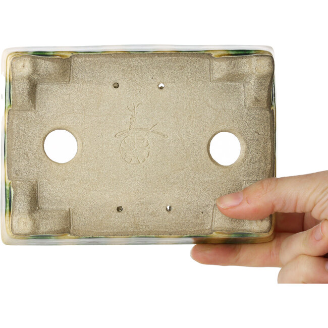 Pot à bonsaï rectangulaire jaune et vert par Terahata Satomi Mazan - 150 x 108 x 43 mm