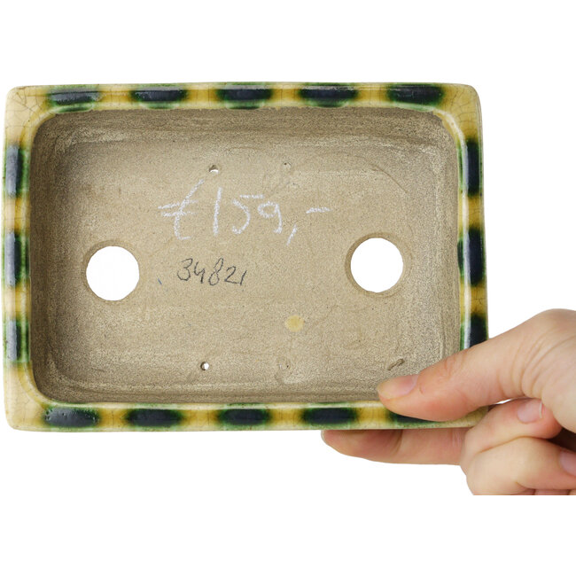 Rechteckiger gelber und grüner Bonsaitopf von Terahata Satomi Mazan – 150 x 108 x 43 mm