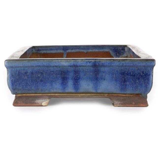 Vaso bonsai rettangolare blu - 465 x 217 x 69 mm