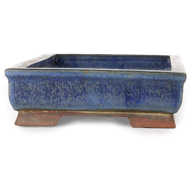 Pot à bonsaï rectangulaire bleu - 465 x 217 x 69 mm