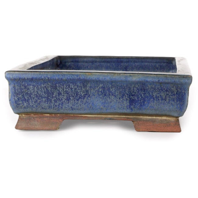 Rectangular blue bonsai pot - 465 x 217 x 69 mm