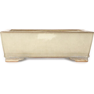 Ikkou - Watanabe Kazuhiro æ¸¡è¾ºä¸€å¼˜ 298 mm rechthoekige beige bonsaipot van Ikkou, Tokoname, Japan