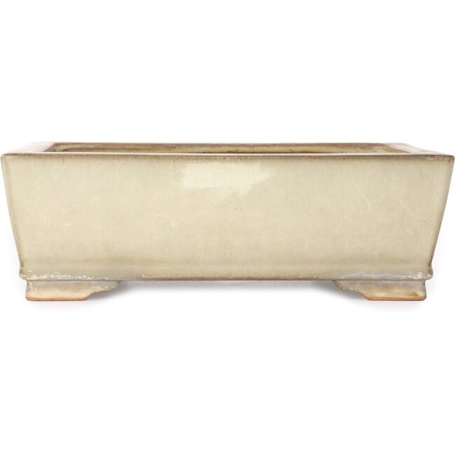 Maceta rectangular color beige para bonsái de Ikkou - 298 x 247 x 98 mm
