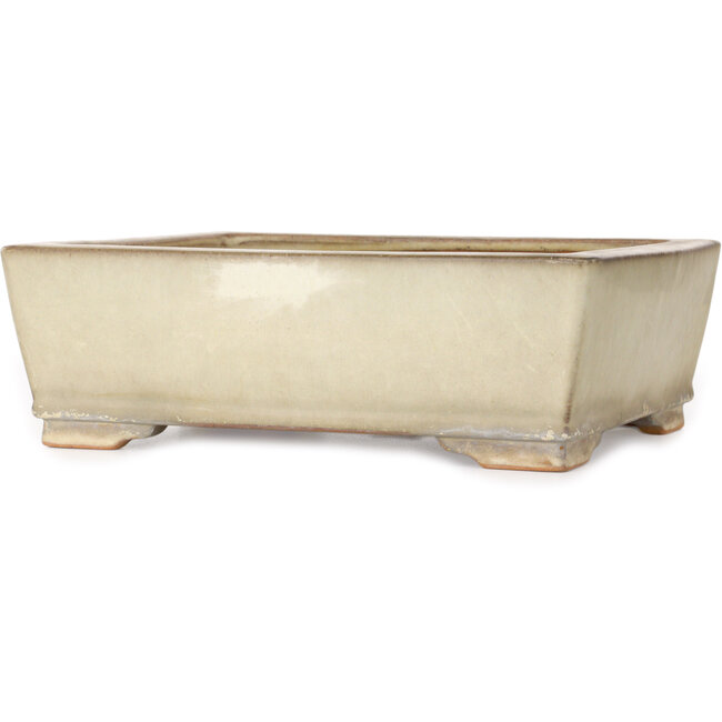 Maceta rectangular color beige para bonsái de Ikkou - 298 x 247 x 98 mm