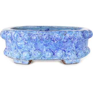  Shuuhou (Hidemi Kataoka) Maceta para bonsái azul ovalada de 160 mm de Shuhou, Tokoname, Japón