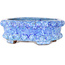 Oval blue bonsai pot by Shuhou - 160 x 133 x 55 mm