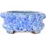 Oval blue bonsai pot by Shuhou - 160 x 133 x 55 mm