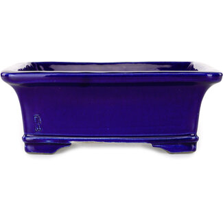  Satomi Mazan, Mazan Terahata 223 mm rectangular blue bonsai pot by Mazan, Tokoname, Japan