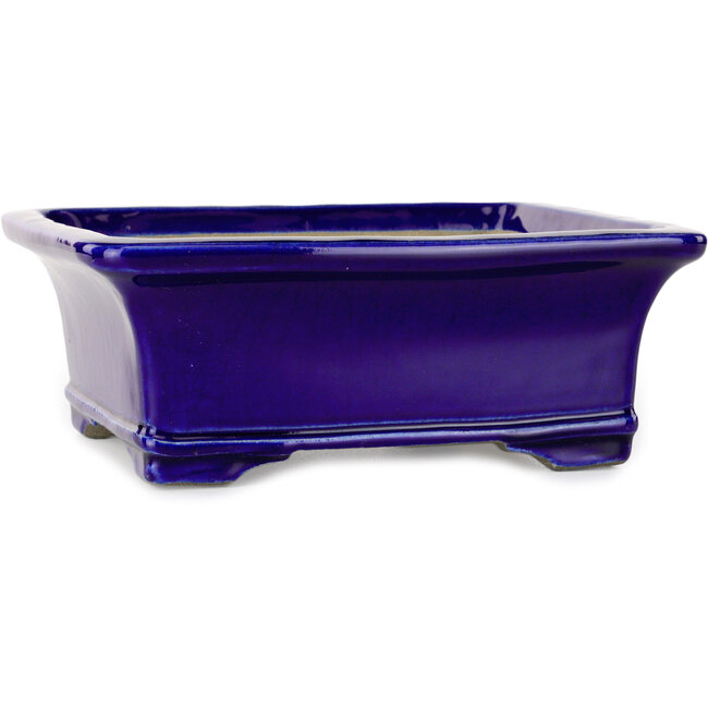 Maceta rectangular azul para bonsái de Mazan - 223 x 206 x 85 mm