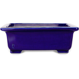  Satomi Mazan, Mazan Terahata Pot à bonsaï rectangulaire bleu de 223 mm de diamètre, de Mazan, Tokoname, Japon