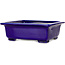 Pot à bonsaï rectangulaire bleu de Mazan - 223 x 206 x 85 mm