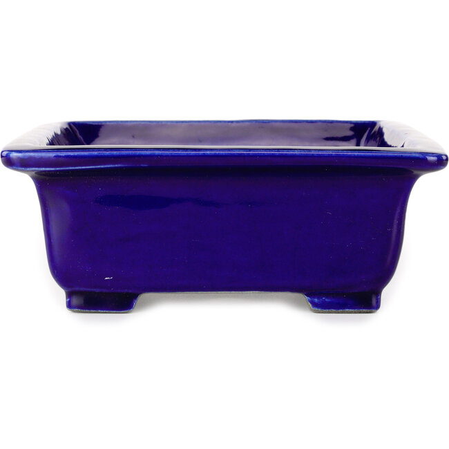 Maceta rectangular azul para bonsái de Mazan - 223 x 206 x 85 mm