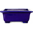 Maceta rectangular azul para bonsái de Mazan - 223 x 206 x 85 mm