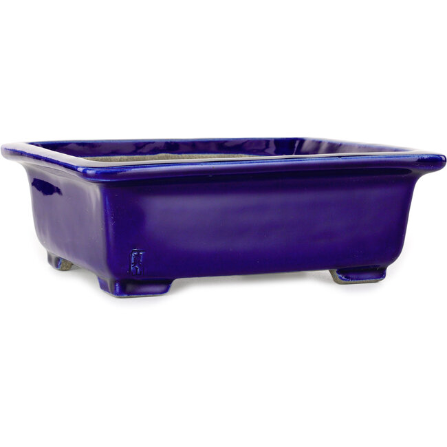 Vaso bonsai rettangolare blu di Mazan - 223 x 206 x 85 mm