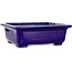 Maceta rectangular azul para bonsái de Mazan - 223 x 206 x 85 mm