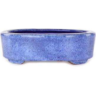  Shuuhou (Hidemi Kataoka) 190 mm oval blue bonsai pot by Shuhou, Tokoname, Japan