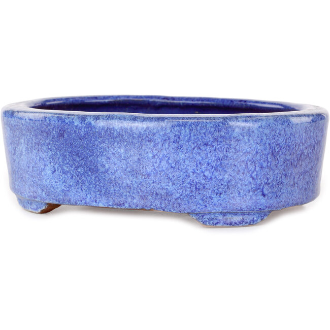 Oval blue bonsai pot by Shuhou - 190 x 157 x 58 mm