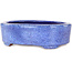 Maceta ovalada azul para bonsái de Shuhou - 190 x 157 x 58 mm