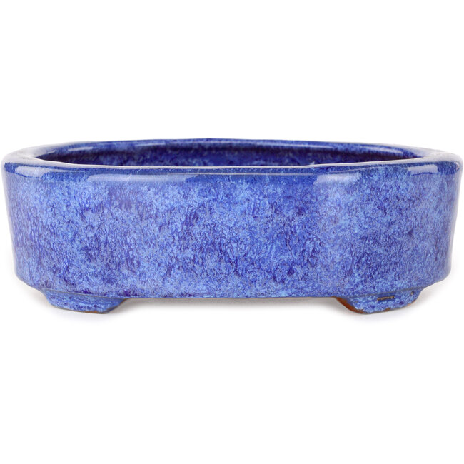 Maceta ovalada azul para bonsái de Shuhou - 190 x 157 x 58 mm