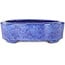 Oval blue bonsai pot by Shuhou - 190 x 157 x 58 mm