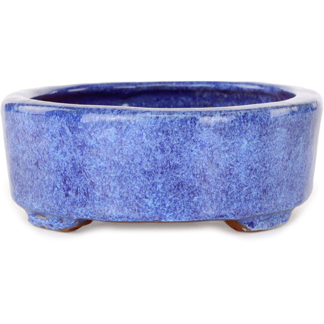 Pot à bonsaï ovale violet de Shuhou - 190 x 157 x 58 mm