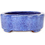 Ovaler blauer Bonsai-Topf von Shuhou – 190 x 157 x 58 mm